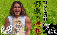 【令和7年産 新米早期予約】 コシヒカリ 10kg x 12回 8月下旬から発送 厳選 高知県産 新米 産地直送 米 お米 白米 精米 ごはん コシヒカリ ご飯 井上農園 高知県 須崎市 INN9000