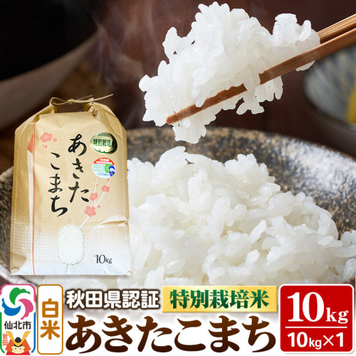 令和7年産 秋田県認証 特別栽培米 あきたこまち（白米）10kg×1袋 米 2190735 - 秋田県仙北市