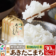 あきたこまち（白米）10kg×3袋 計30kg 米 令和7年産 秋田県認証 特別栽培米 [白米 精米 あきたこまち アキタコマチ 秋田小町 産地直送 産直 お取り寄せ ごはん]
