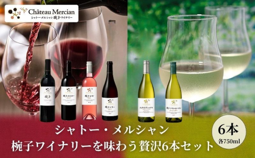 シャトー・メルシャン 椀子ワイナリーを味わう6本セット ワイン 赤ワイン 白ワイン ロゼワイン お酒 酒 アルコール 長野 長野県 上田市 2190787 - 長野県上田市