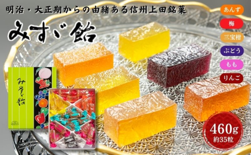 みすゞ飴箱入　中　銘菓 林檎 ゼリー 和菓子 お菓子 菓子 スイーツ りんご 長野 信州 2190790 - 長野県上田市