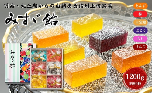 みすゞ飴箱入　大　銘菓 林檎 ゼリー 和菓子 お菓子 菓子 スイーツ りんご 長野 信州 2190792 - 長野県上田市