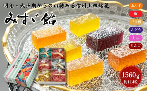 みすゞ飴箱入　特大　銘菓 林檎 ゼリー 和菓子 お菓子 菓子 スイーツ りんご 長野 信州 2190793 - 長野県上田市