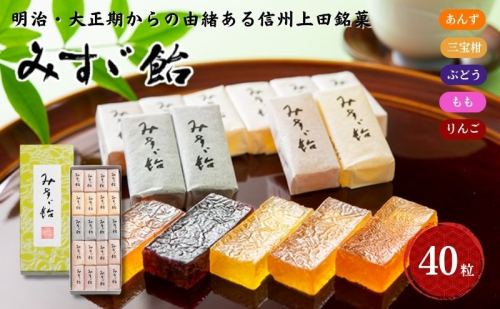 みすゞ飴和紙40粒 銘菓 林檎 ゼリー 和菓子 お菓子 菓子 スイーツ りんご 長野 信州 2190795 - 長野県上田市
