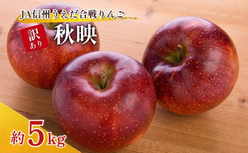 訳あり りんご JA信州うえだ 合戦りんご 秋映 約5kg（10玉～20玉） リンゴ 林檎 果物 くだもの フルーツ 信州 長野 離乳食 訳アリ わけあり 傷 2190799 - 長野県上田市