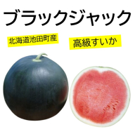 すいか ブラックジャック 5～6kg 1玉 北海道産 甘い 期間限定 数量限定 スイカ