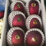 宮平農園のマンゴー1.5kg(アーウィン)