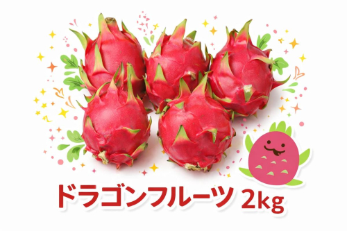 宮平農園のドラゴンフルーツ 2kg(レッド)   I  宮平農園 ドラゴンフルーツ 2kg 2000g レッド フルーツ トロピカルフルーツ ギフト   沖縄県 南城市 ふるさと納税 合同会社宮平農園 2191289 - 沖縄県南城市