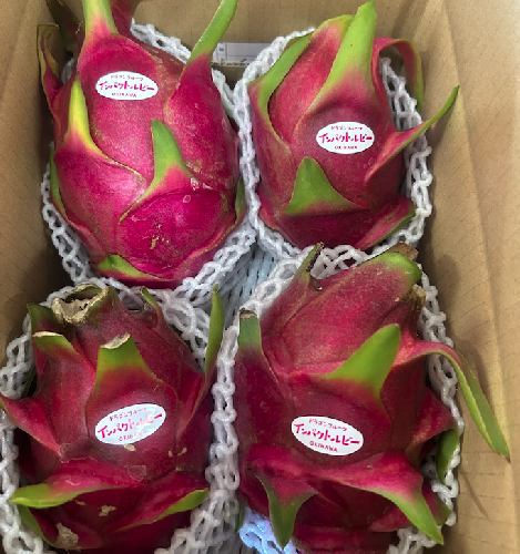 宮平農園のドラゴンフルーツ 2kg(レッド) 2191289 - 沖縄県南城市