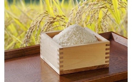 43 浦臼産特別栽培米ななつぼし　精白米 １５kg