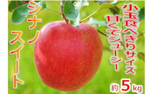 【013-45】令和7年10月上旬頃発送　信州のりんご　シナノスイート　厳選！小玉食べきりサイズ！　約5キロ 2191816 - 長野県伊那市