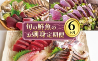 お刺身 定期便 6回 カツオ 鰹 フィーレ 炙り 刺身 刺し身 丼 寿司 海鮮 魚介 鮮魚 旬 ご飯に合う 米に合う コメに合う 冷蔵 高知県 須崎市 須崎魚商人組合 GK1000