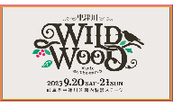 【数量限定】野外音楽フェス 「中津川 WILD WOOD 2025」 2日通し券 （大人1名、中高生1名） チケット 入場券 2日券 親子券 ライブ コンサート フェスティバル グッズ 自然 ふるさと納税 栗 栗きんとん 有名 F4N-2336