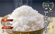 【5kg ：12か月 定期便】数量限定 こしひかり 5kg 10kg 定期便 選べる お米 おこめ 米 コメ ごはん コシヒカリ ご飯 ブランド米 精米 令和7年 定期 12か月 令和6年産 売り切れ 備蓄米 よりおいしい 愛知県 田原市 渥美半島 人気 どうまい 米 米 お米 お米 農家直送 先行予約 令和7年産 備蓄米 より おいしい 先行予約 令和7年産 13000円
