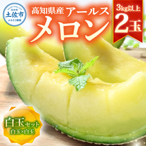 【先行予約】高級土佐アールスメロン2玉入り 2191993 - 高知県土佐市