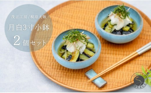 有田焼 月白 3寸小鉢 2個セット 【 茂正工房 】 梶原大敬 陶器 小鉢 和食器 青磁 手作り 作家もの A20-600 2192462 - 佐賀県有田町