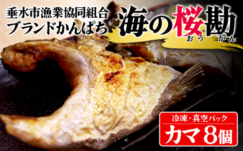 A1-0130／垂水カンパチ『海の桜勘』 カマ 8個（計1.6kg以上） 2192600 - 鹿児島県垂水市