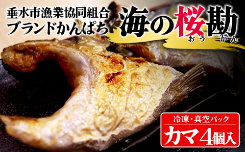 W-0102/垂水カンパチ『海の桜勘』 カマ 4個(計800g以上) 2192625 - 鹿児島県垂水市