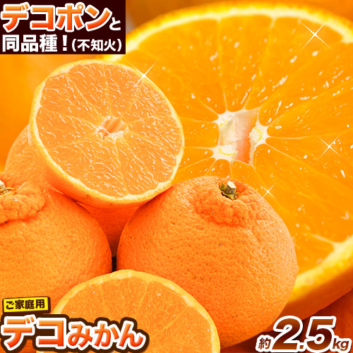 ご家庭用 デコみかん 約2.5kg 6～12玉前後《2026年2月上旬-4月末頃出荷》デコポン（不知火）と同品種 熊本県産 熊本県 長洲町 訳あり 2192626 - 熊本県長洲町