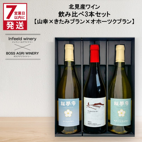 《7営業日以内に発送》北見産ワイン 飲み比べ3本セット（山幸×きたみブラン×オホーツクブラン） ( ワイン 赤ワイン 白ワイン 熟成白ワイン セット 飲み比べ 山幸 きたみブラン オホーツクブラン ギフト 贈り物 )【186-0007】 2192629 - 北海道北見市