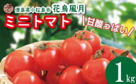 【2026年5月発送】 ミニトマト 1kg 花鳥風月 先行予約 水耕栽培 爽やか 甘い 野菜 やさい 国産 産地直送 数量限定 旬 フレッシュトマト 生野菜 新鮮 ソース 調味料 ケチャップ サラダ 美容 新鮮 健康 お取り寄せ グルメ おすすめ 人気 1万円以下 10000円以下 徳島県 小松島市