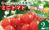 【2026年2月発送】 ミニトマト 2kg 花鳥風月 先行予約 水耕栽培 爽やか 甘い 野菜 やさい 国産 産地直送 数量限定 旬 フレッシュトマト 生野菜 新鮮 ソース 調味料 ケチャップ サラダ 美容 新鮮 健康 お取り寄せ グルメ おすすめ 人気 徳島県 小松島市