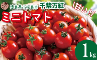 【2026年3月発送】 ミニトマト 1kg 千紫万紅 先行予約 水耕栽培 甘い 野菜 やさい 国産 産地直送 数量限定 旬 フレッシュトマト 生野菜 新鮮 ソース 調味料 ケチャップ サラダ 美容 新鮮 健康 お取り寄せ グルメ おすすめ 人気 1万円以下 10000円以下 徳島県 小松島市