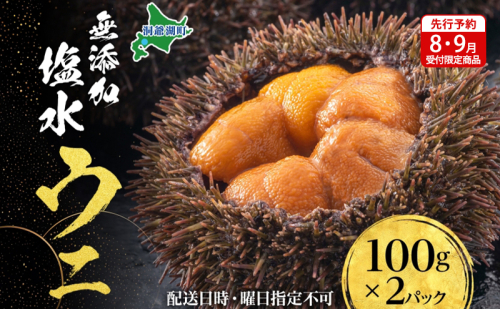 【先行予約】北海道 無添加塩水 ウニ 100g 2パック 11月上旬～12月上旬頃まで順次出荷 バフン ムラサキ うに 雲丹 海鮮 小川商店 2192999 - 北海道洞爺湖町