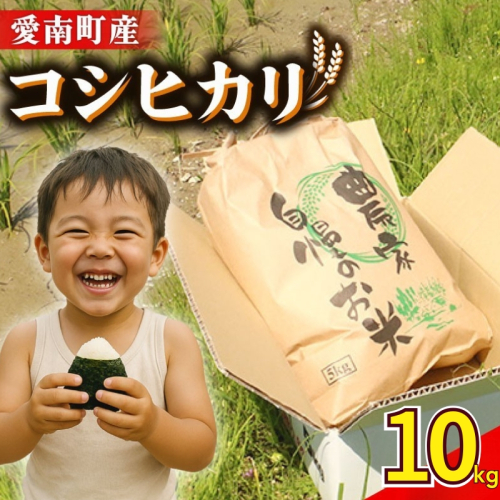 新米 令和7年産 コシヒカリ 10kg ( 5kg × 2袋 ) 米 お米 白米 精米 こしひかり 人気 産地直送 国産 農家直送 期間限定 数量限定 特産品 先行 事前 予約 受付 令和7年度産 2025年産 大粒 もっちり 粘り 甘み おいしい おにぎり 贈答品 プレゼント 和家農園 愛南町 愛媛県 2193616 - 愛媛県愛南町
