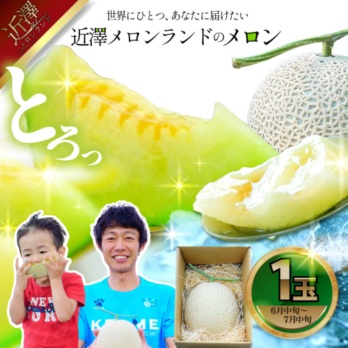 先行予約 メロン １玉入（約1.4kg～1.8kg）青肉 2026年夏発送 2193619 - 高知県土佐市