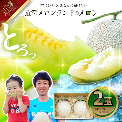 先行予約 メロン ２玉入り（1玉約1.4kg～1.8kg）青肉 2026年夏発送 期間限定 メロン めろん マスクメロン 舐瓜 果物 くだもの フルーツ デザート 旬 ハウス栽培 常温配送 2193621 - 高知県土佐市