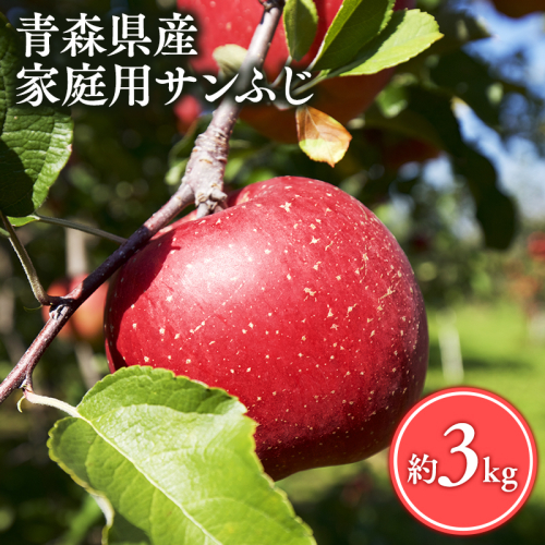 ≪4月発送≫【訳あり】家庭用 サンふじ3kg【青森県 平川市 丸勝木村商店】平川市産 青森りんご りんご リンゴ 林檎 ふじ 訳あり 家庭 わけあり お取り寄せ 先行予約 果物 くだもの フルーツ  2193624 - 青森県平川市