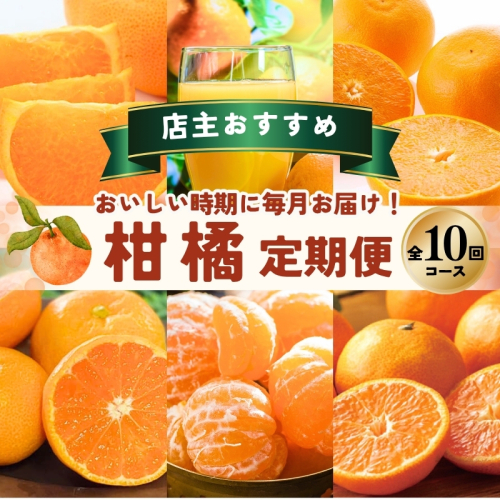 【全10回】 柑橘 定期便 石本果樹園 店主おすすめの柑橘セットをお届け！ /  フルーツ 果物 くだもの 柑橘 フルーツ定期便 くだもの定期便 定期便 フルーツセット くだものセット みかん ミカン 温州みかん 不知火 せとか セミノール ポンカン カラマンダリン 甘夏 清見 オレンジ ジュース みかんジュース 果実飲料 産地直送 旬 人気 おすすめ 詰め合わせ お楽しみ 三重県 紀宝町 2193667 - 三重県紀宝町