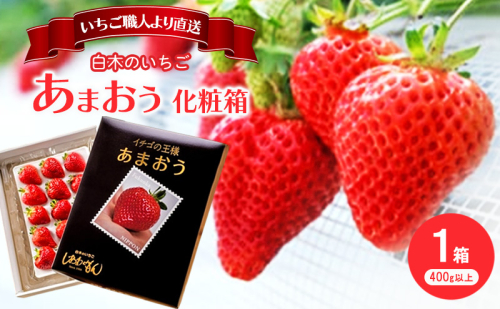 いちご 1月配送 しあわせもん あまおう 化粧箱 1箱 いちご職人 白木のいちご イチゴ 苺 果物 デザート ※配送不可：沖縄・離島 2193672 - 福岡県大刀洗町