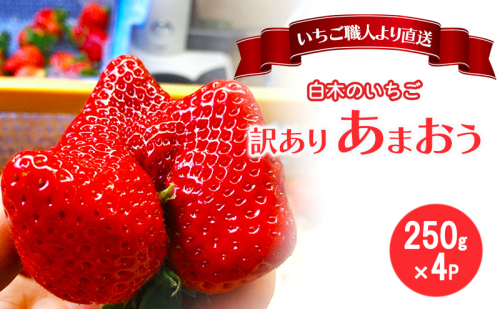 訳あり いちご いちご職人 白木のいちご あまおう ふぞろいな「いちご」たち 250g×4P 訳アリ イチゴ 苺 果物 デザート ※配送不可：沖縄・離島 2193675 - 福岡県大刀洗町