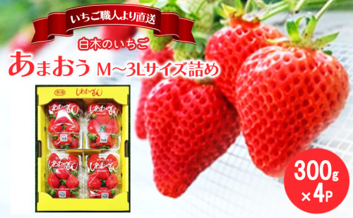 いちご いちご職人 白木のいちご あまおう 300g×4パック詰め (M～3Lサイズ) イチゴ 苺 果物 デザート ※配送不可：沖縄・離島 2193676 - 福岡県大刀洗町