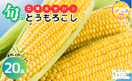 たかだ畑 とうもろこし 品種おまかせ 【たかだ畑】 20本 あまいんです 恵味ゴールド とうもろこし スイートコーン 産地直送 詰め合わせ セット とうきび BBQ バーベキュー 甘い 北海道 比布町 ぴっぷ 1018-011