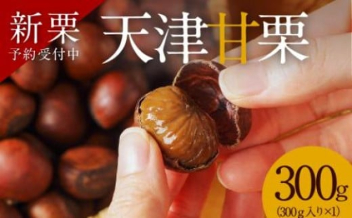 【新栗】先行予約 ！！この道50年の職人が焼く、やさしい甘みたっぷりの「天津甘栗」300g！ 焼きたて 栗 くり 栗爪 殻付き お菓子 おつまみ 人気 高リピート 小分け 栗ご飯 栗きんとん 甘露煮 予約 受付 H045-069 2193716 - 愛知県碧南市