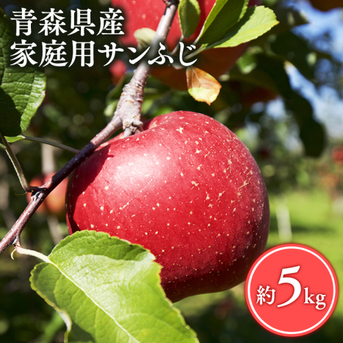 ≪1月発送≫【訳あり】家庭用 サンふじ5kg【青森県 平川市 丸勝木村商店】平川市産 青森りんご りんご リンゴ 林檎 ふじ 訳あり 家庭 わけあり お取り寄せ 先行予約 果物 くだもの フルーツ  2193747 - 青森県平川市