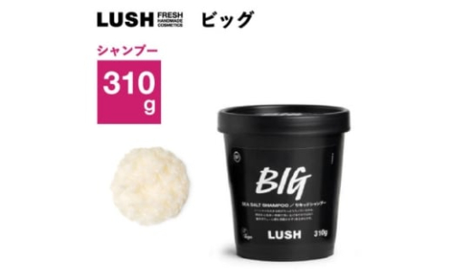 LUSH ラッシュ ビッグ リキッドシャンプー 310g スカルプケア シーソルト【1640981】 2193755 - 神奈川県愛川町