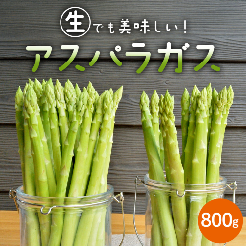茨城県産 アスパラガス 800g 野菜 新鮮 フレッシュ 産地直送 農家直送 オーガニック BBQ バーベキュー キャンプ Freedom Farm フリーダムファーム[FK001sa] 2193811 - 茨城県桜川市
