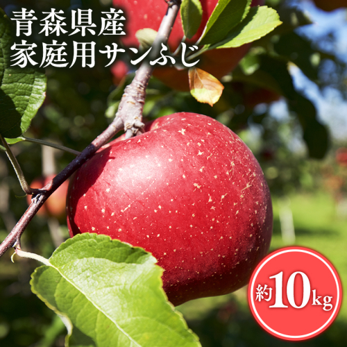 ≪2月発送≫【訳あり】家庭用 サンふじ10kg【青森県 平川市 丸勝木村商店】平川市産 青森りんご りんご リンゴ 林檎 ふじ 訳あり 家庭 わけあり お取り寄せ 先行予約 果物 くだもの フルーツ  2193813 - 青森県平川市