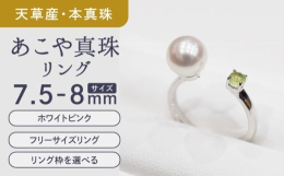 【C：10号(9号〜11号まで対応)】美しいあこや真珠が生まれる為には、海水温や波の高さなどいくつもの厳しい海の条件をクリアする必要があります。その条件の中、環境の変化に弱いあこや貝が立派に育つよう、
