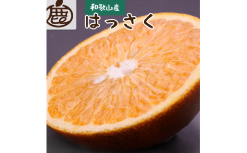 ［先行予約］厳選 はっさく2.5kg+250g（傷み補償分）［八朔みかん］［光センサー選別］［IKE25］ 2194127 - 和歌山県上富田町