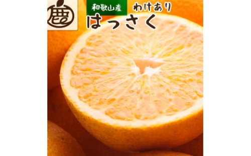 ［先行予約］家庭用 はっさく2.5kg+250g（傷み補償分）【八朔みかん】【訳あり・わけあり】［IKE28］ 2194128 - 和歌山県上富田町