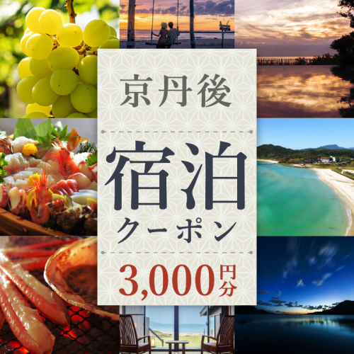 【京丹後市観光公社】京丹後宿泊クーポン　3,000円券×1枚
 2194129 - 京都府京丹後市