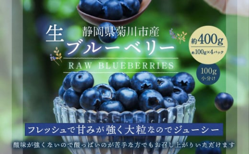 生ブルーベリー 計約400g（約100g×4パック）【2026年4月下旬-6月上旬発送予定】｜ ブルーベリー 果物 フルーツ 静岡県 菊川市 2194202 - 静岡県菊川市