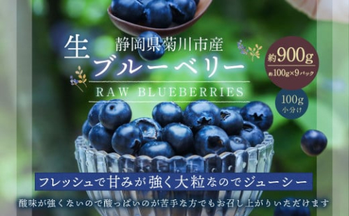 生ブルーベリー 計約900g（約100g×9パック）【2026年4月下旬-6月上旬発送予定】 ｜ブルーベリー 果物 フルーツ 静岡県 菊川市 2194205 - 静岡県菊川市