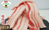 アグー豚 パイとん 焼肉用[バラ]600g あぐー アグー あぐー豚肉 アグー肉 バラ肉 パイとん 真空パック 選べる ブランド豚 パイン 焼肉 肉巻き 豚汁 沖縄北斗 しょうが焼き 沖縄の豚肉 ヤンバル やんばる 沖縄 東村