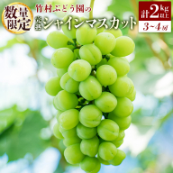 ＜数量限定＞先行予約 竹村ぶどう園 完熟 シャインマスカット 計2kg以上（3～4房）国産 白葡萄【C419-25】